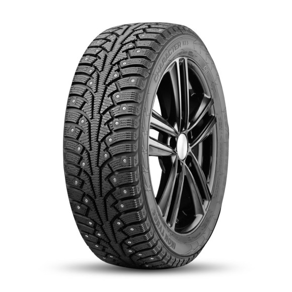 Шины Ikon Tyres  205/65/15  T 99 Ikon Character Ice 5  XL Ш.
